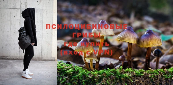 a pvp Алексеевка